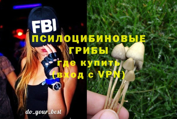 a pvp Лиски