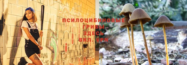 твердый Липки