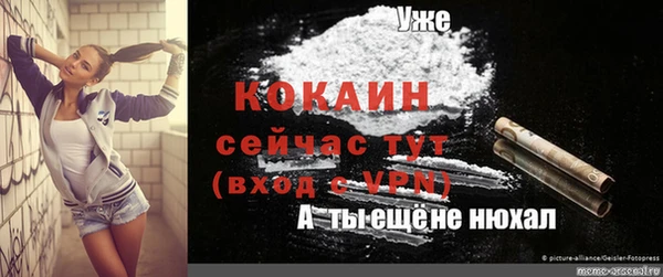 твердый Липки