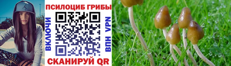 Галлюциногенные грибы мухоморы  Купить где  Лесозаводск 